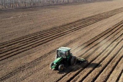 露天花菜的种植方法,早熟和极早熟品种适合在6-9月份种植