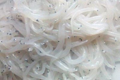 银鱼的产地,太湖、西湖、马湖是三大银鱼盛产湖