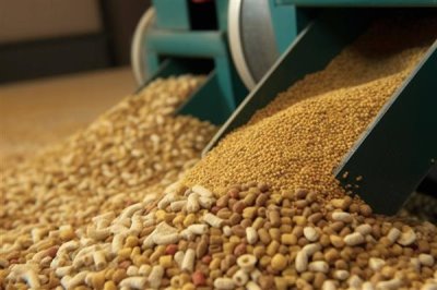 有哪些新型饲料添加剂，常见的有泰乐菌素、黄霉素等