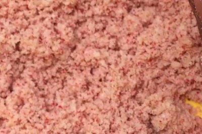 开春后的钓鱼时间,温度、气压和风向都是重要指标