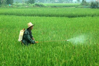 磷酸二氢钾叶面肥的使用方式,一般使用叶面喷施的方式