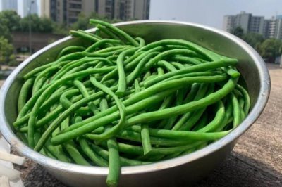 卜豆角是什么地方的特产，是湖南地区的特产