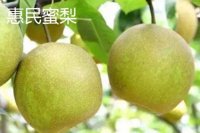 浙江省嘉善县的特产，包括嘉善老酒、姚庄黄桃、六塔鳖等种类