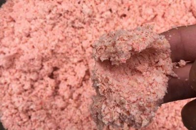 秋天钓草鱼的技巧,垂钓前可用玉米等饵料打窝