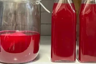 怎么制作红茶菌菌种,制成后要放在阴凉处静置