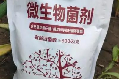 菌肥的简介，是带有活菌体的辅助性肥料