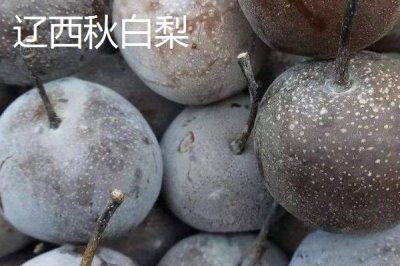 辽宁省丹东市的特色水果，夏家村草莓达到无公害绿色食品标准