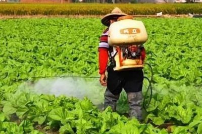 除草剂的种类,分为灭生性和选择性除草剂