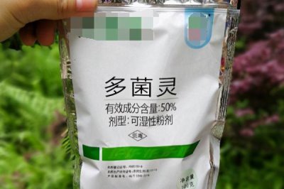 使用多菌灵要注意什么,蔬菜收获前5天需停用