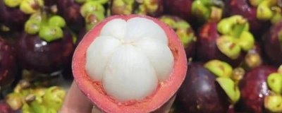 山竹的产地,主要集中在热带地区