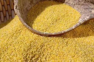 辽宁省朝阳县的特产，有朝阳绿豆、凌塔白酒等