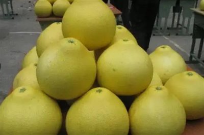 四川省南充市的特产,有西凤脐橙、南充丝绸等