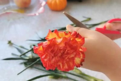 康乃馨能不能做干花,康乃馨是可以做成干花的