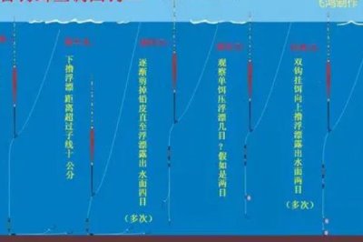 台钓和传统钓所用鱼漂的区别,台钓主用立漂、传统钓多用立漂、七星漂、卧式漂