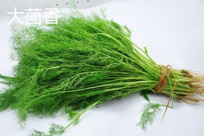 大茴香和小茴香有什么区别,大茴香具有八个角