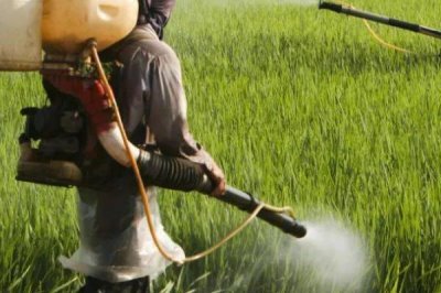 代森锰锌不能与哪些农药混用,不能和铜制剂和碱性药剂混用