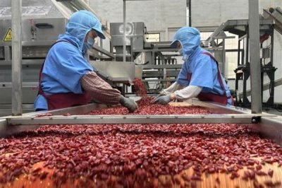 在家加工什么可以赚钱,小腌菜加工、糕点加工等项目值得考虑