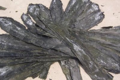 山东烟台市长岛的特产,有金钩海米、长岛海带等