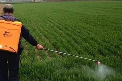 甲维高氯氟的杀虫原理,原理为阻碍害虫的运动神经信息的传递