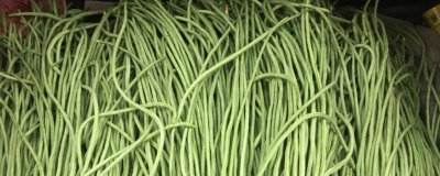 大棚豆角夜间温度是多少，在15-20℃左右