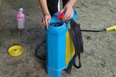 农药复配的准则,需遵循以下6点