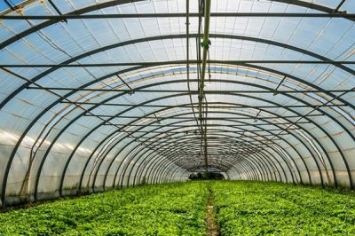 种植大棚蔬菜的成本和利润,初期每亩地的成本为7000元左右