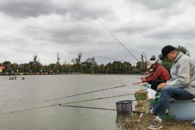 十一月份还能钓鲢鱼吗，南方的十一月适合钓鲢鱼