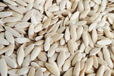 种植黄瓜的技术，发芽期间不宜浇水