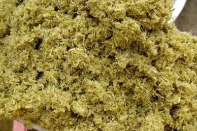 养牛如何节省饲料，可将草料进行加工或配合饲料