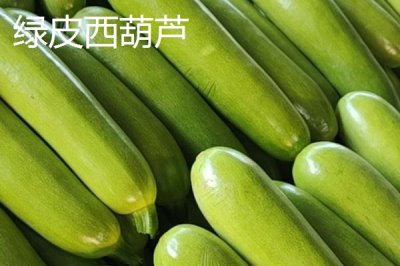 西葫芦有哪些品种,常见的有花叶西葫芦、无种皮西葫芦等