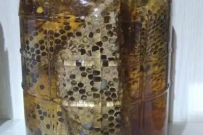 怎么用蜂蛹泡酒，放入装有粮食酒的容器中、再密封即可