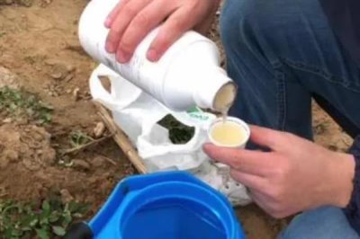 农药复配的准则,需遵循以下6点