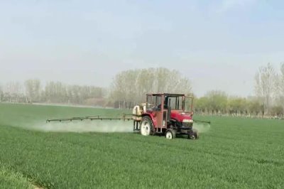 精甲咯菌腈的防治对象,可防治根腐病、恶苗病、霜疫病