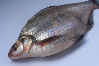 0.8号千又钩可以钓多大鱼,适合钓1斤至2斤的鱼