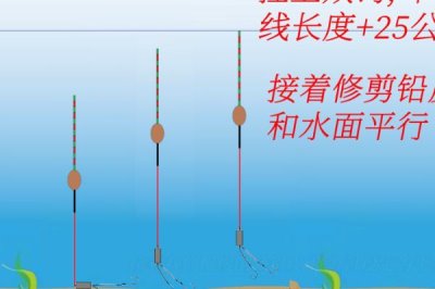 挂玉米粒钓鱼可以吗，使用玉米粒挂钩效果不错