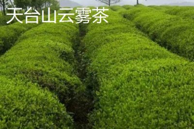 浙江省诸暨市的特产,同山烧被誉为“江南小茅台”