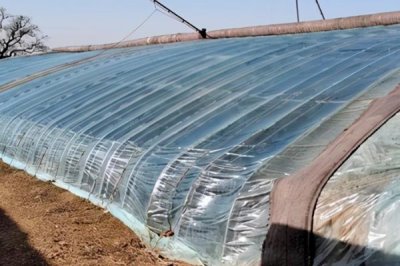 怎么解决冬季蔬菜大棚滴水,选择优质无滴膜