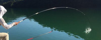 沧州鱼竿和威海鱼竿的区别,产地和特点均不同