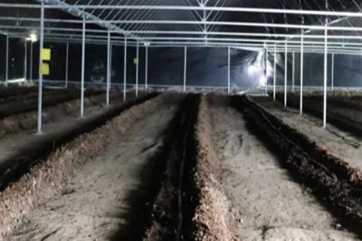 蚯蚓的养殖方法有哪些,可结合实际情况任选以下7种养殖方法