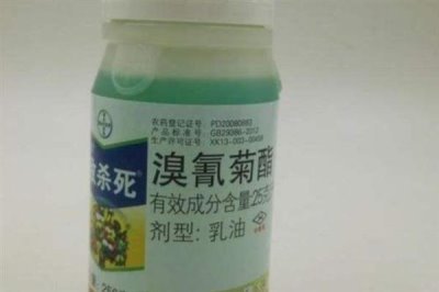 菊酯类杀虫剂可以杀哪些虫,甲氰菊酯可防治咀嚼式和刺吸式口器害虫