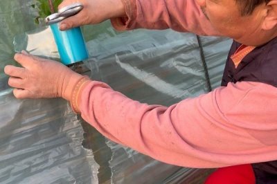 如何购买农膜，首先要看产品合格证