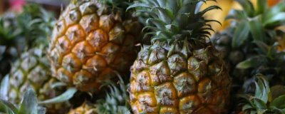 菠萝如何挑选,夏季的菠萝最好
