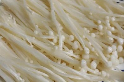 农村种植什么食用菌具有较高的效益，香菇、木耳、平菇等品种均为不错的选择