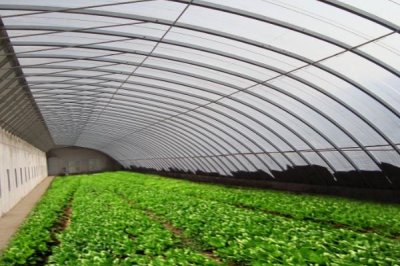 夏天高温时大棚如何有效降温,遮阳降温使用较多