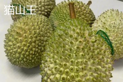 榴莲的英文名称，英文名是durian