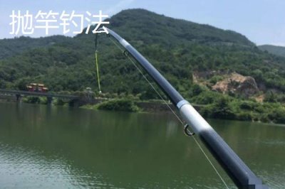 容易让鲈鱼上钩的饵料,河虾是鲈鱼的主要食物