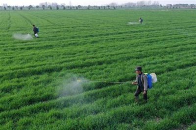 灭草松的防治对象,可灭杀苍耳、问荆、马齿苋等杂草