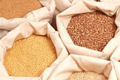 大雁的养殖方法,可在养殖舍内圈养