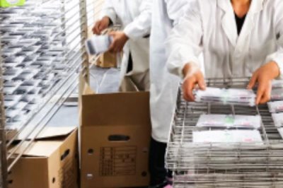 蚕的养殖方法,补催青时需要避免日晒