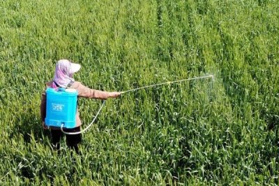 水胺硫磷属于哪类农药,属于有机磷杀虫杀螨剂